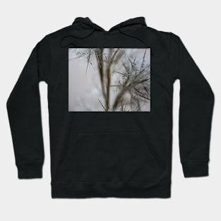 Soft fall field Hoodie